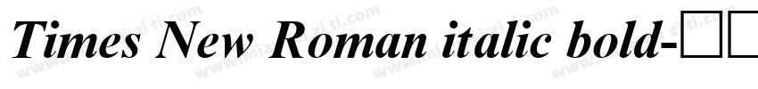 Times New Roman italic bold字体转换